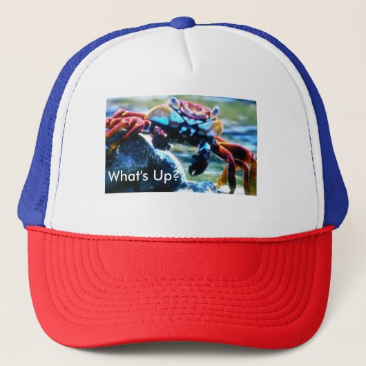 Ce qui est faites votre propre casquette (Devant)