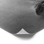 Ce qui reste de moi Poster (Coin)