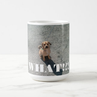 "Ce qui ! ? !" Tasse