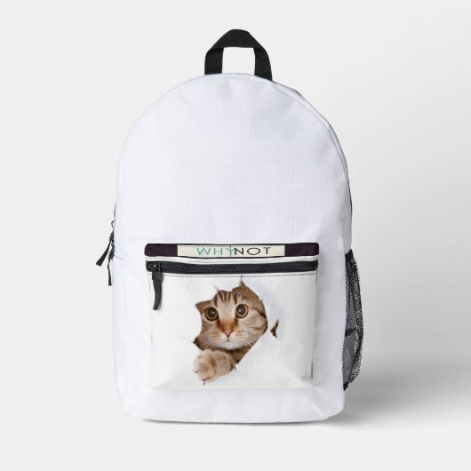 ce sont de beaux sacs à dos scolaires............. (Recto)