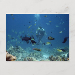 Cebu Diving Briefkaart