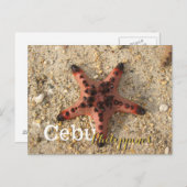Cebu Filippijnen Tiger Starfish Briefkaart (Voorkant / Achterkant)
