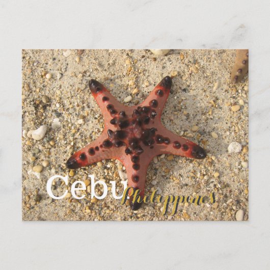 Cebu Filippijnen Tiger Starfish Briefkaart (Voorkant)