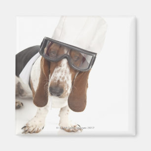 Cecelia Erhart Magneet