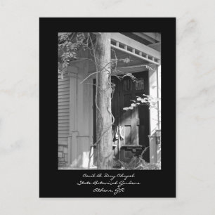 Cecil B. Dagkapel, botanische tuinen, Athene, GA Briefkaart