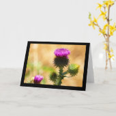 CEDA - IDAHO THISSLE - LEGE KAART (Gele Bloem)