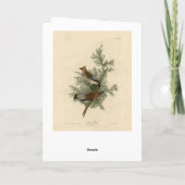 Cedar Bird, Cedar Waxwing Audubon Birds of America Kaart (Achterkant)