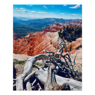 Cedar Breaks Nationaal Monument - Branch Perfect Poster