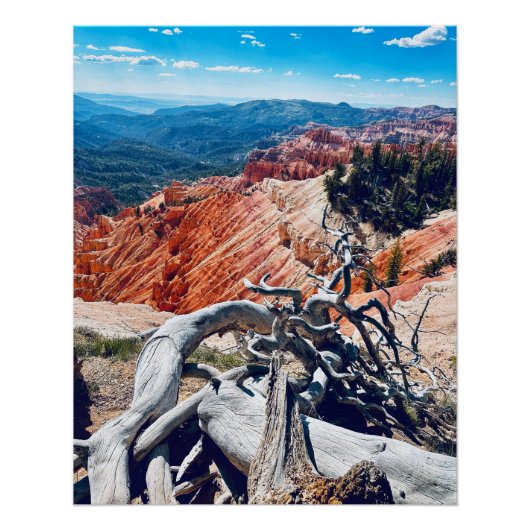 Cedar Breaks Nationaal Monument - Branch Perfect Poster (Voorkant)