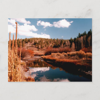 Cedar Breaks National Area, Utah Briefkaart