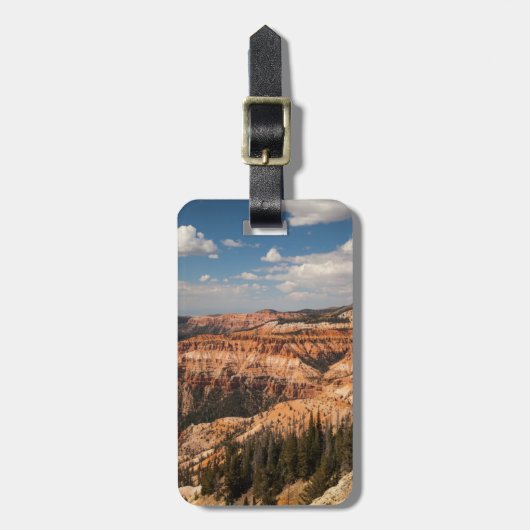 Cedar Breaks National Monument (Utah) Bagagelabel (Voorkant verticaal)
