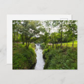 Cedar Cliff Herfsten, Cedarville, Ohio Briefkaart (Voorkant / Achterkant)