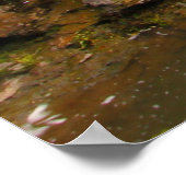 Cedar Cliff Herfsten, Cedarville, Ohio Poster (Hoek)