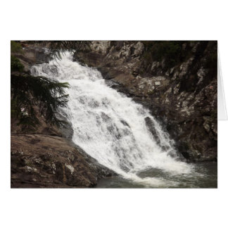 Cedar Creek Herfsten