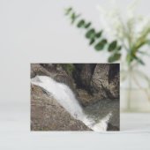 Cedar Creek Herfsten Briefkaart (Staand voorkant)