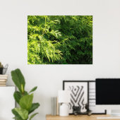 Cedar Hedge Poster (Thuiskantoor)