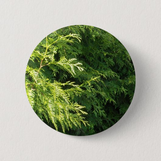 Cedar Hedge Ronde Button 5,7 Cm (Voorkant)