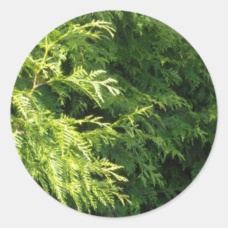 Cedar Hedge Ronde Sticker