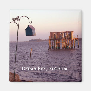 Cedar Key Bird Feeder, Cedar Key, Florida Magneet