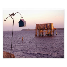 Cedar Key Bird Feeder Foto Afdruk