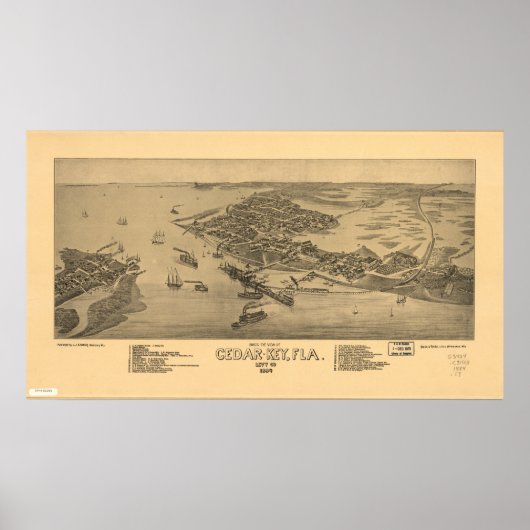 Cedar Key Florida 1884 Panorama Poster (Voorkant)