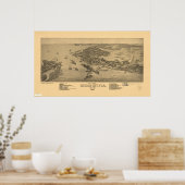 Cedar Key Florida 1884 Panorama Poster (Keuken)