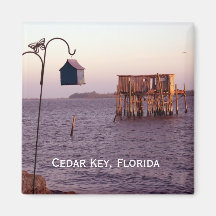 Cedar Key Vogelvoeder, Cedar Key, Florida