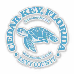 Cedar Key (zeeen schildpad) Sticker