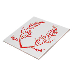 Cedar Leaves op een witte keramische Tegel Tegeltje