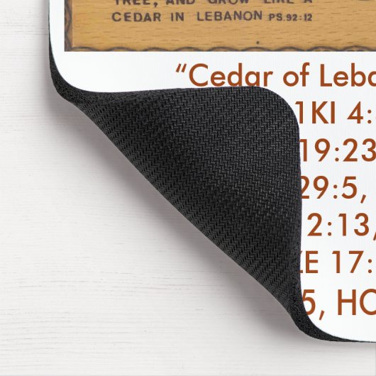 Cedar of Libanon Mousepad Muismat (Hoek)