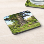 Cedar-of-Libanon Tree Hard Onderzetter van kunstst (Linkerzijde)