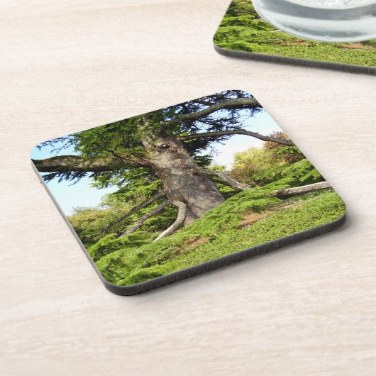 Cedar-of-Libanon Tree Hard Onderzetter van kunstst (Linkerzijde)