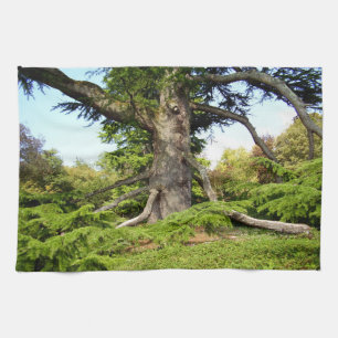 Cedar-of-Libanon Tree Tea Towel Theedoek