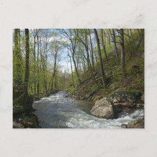 Cedar Run op White Oak Canyon Briefkaart