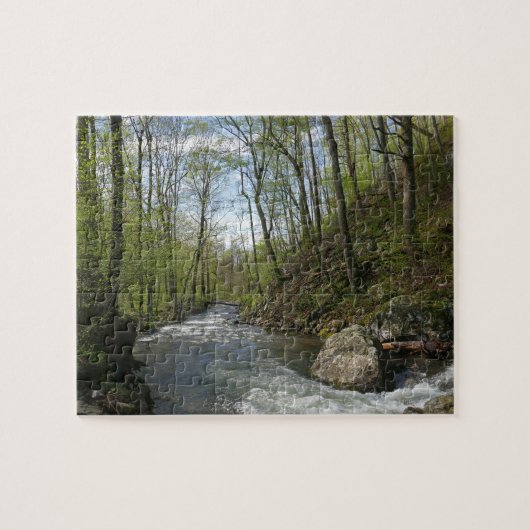 Cedar Run op White Oak Canyon Legpuzzel (Horizontaal)