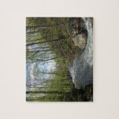 Cedar Run op White Oak Canyon Legpuzzel (Verticaal)