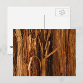 Cedar Textured Wooden Bark look Briefkaart (Voorkant / Achterkant)