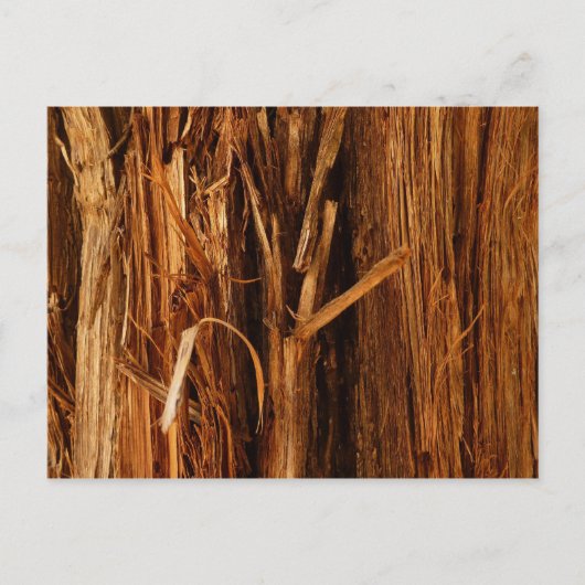 Cedar Textured Wooden Bark look Briefkaart (Voorkant)