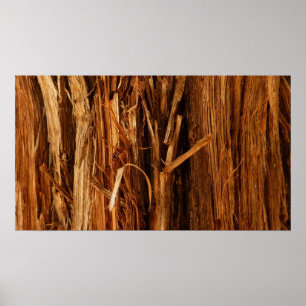 Cedar Textured Wooden Bark look Poster