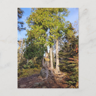 Cedar Throne Tettegouche Minnesota Briefkaart