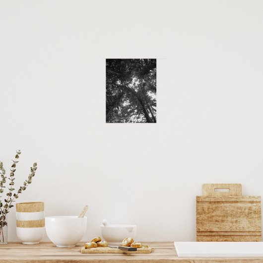 Cedar Tree Black en White Natuur Forest Poster (Keuken)