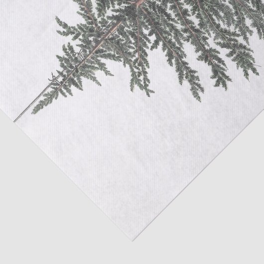 Cedar Tree Plant Tissuepapier (Detail)