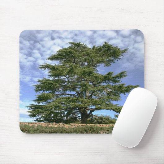 Cedar van Libanon Muismat (Met muis)