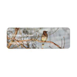 Cedar Waxin Winter Animal Address Etiket