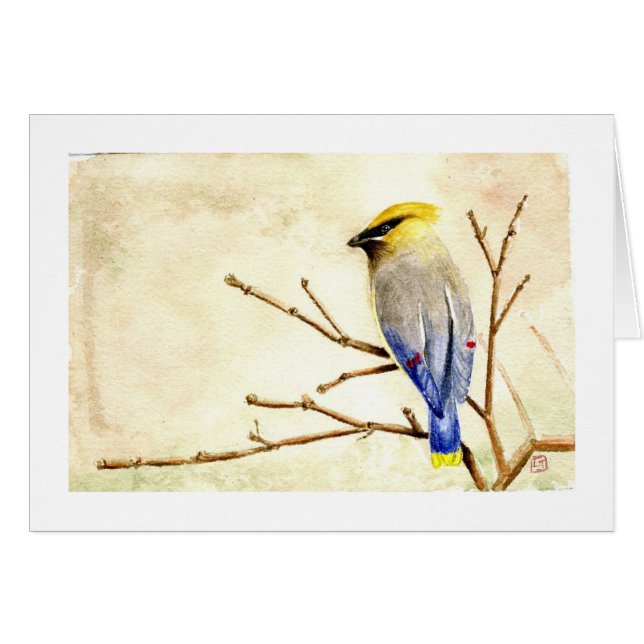 Cedar Waxing (Voorkant Horizontaal)