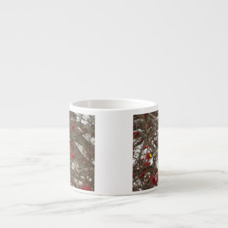 Cedar Waxing Espresso Kop