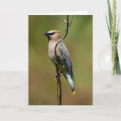 Cedar Waxing - Hartelijk dank Bedankkaart (Voorkant)