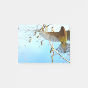 Cedar Waxing in vlucht Post-it® Notes