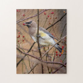 Cedar Waxing | Jigzaag Puzzle Legpuzzel