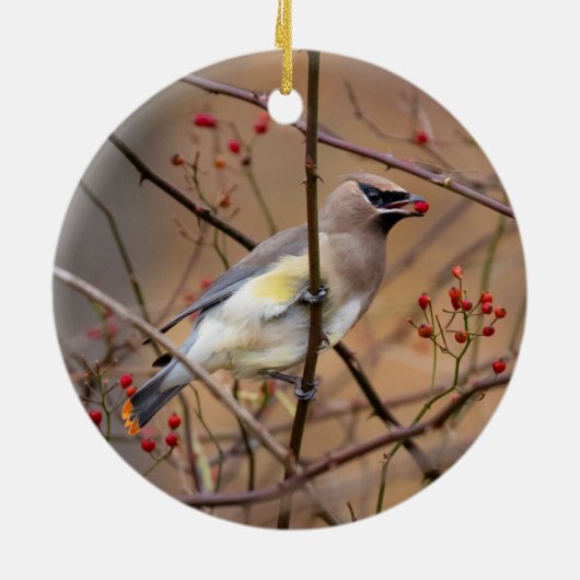 Cedar Waxing | kerstversiering Keramisch Ornament (Achterkant)